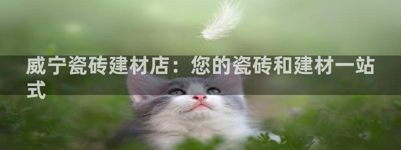 杏鑫平台招商电话是多少
