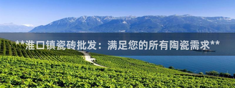 杏鑫平台注册网址