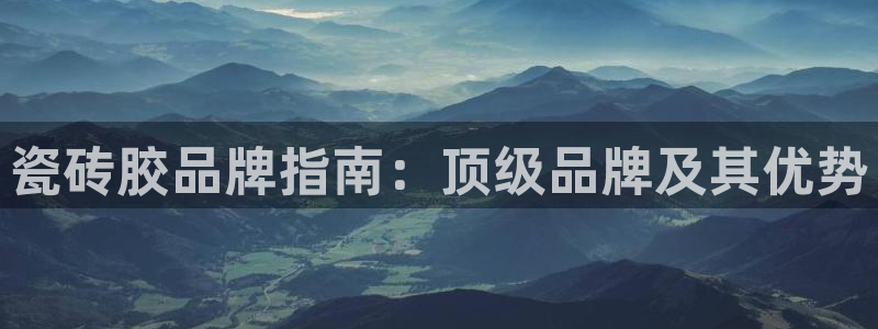 杏鑫主管