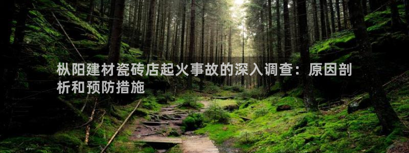 杏鑫官方平台怎么样