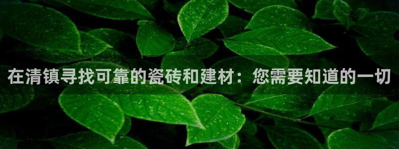 杏鑫平台代理注册多少钱啊