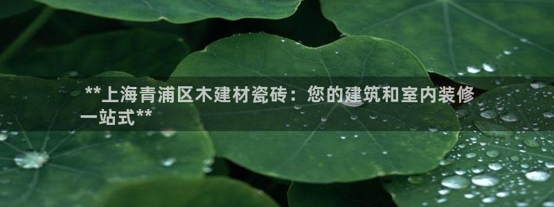 杏鑫平台代理注册登录不了怎么办呀苹果