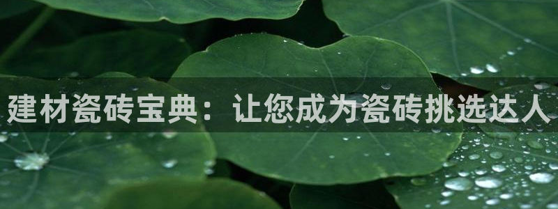 杏鑫平台下载安装