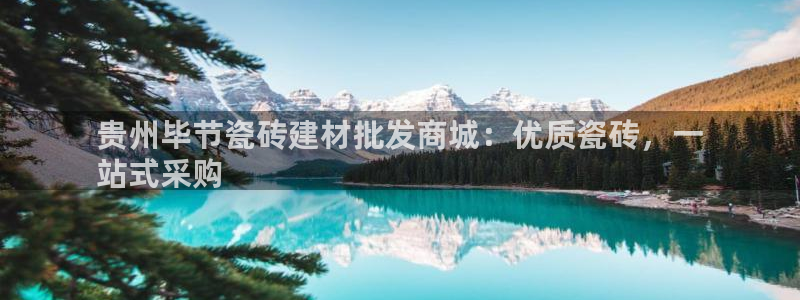 杏鑫平台是黑平台吗