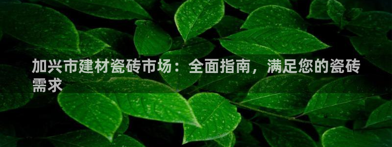 杏鑫平台代理