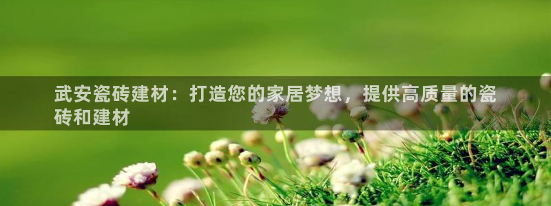 杏鑫平台代理注册流程图