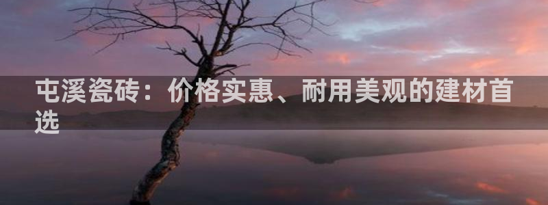 杏鑫官网注册账号密码忘了