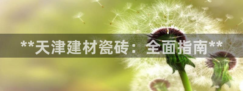 杏鑫娱乐多少年了