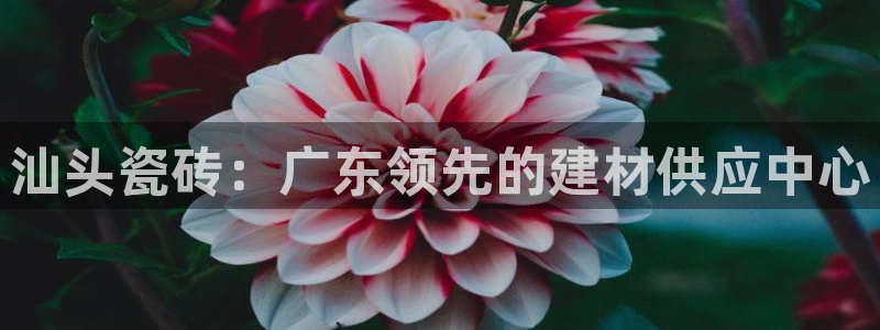 杏鑫注册平台官方网站是什么