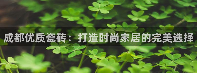 杏鑫官网最新信息新闻