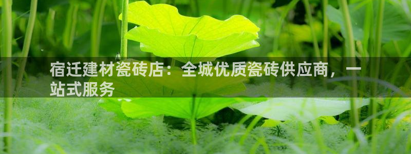 杏鑫娱乐负责人