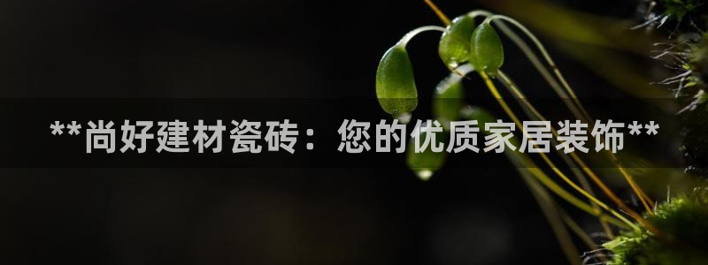 杏鑫平台测速