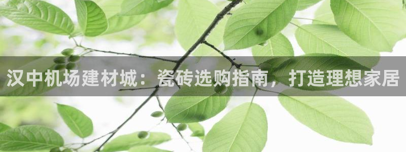 杏鑫娱乐平台测速怎么样