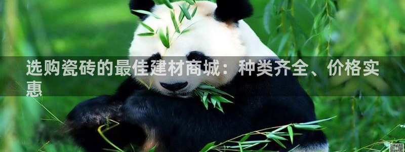 杏鑫娱乐官方网站客户端下载