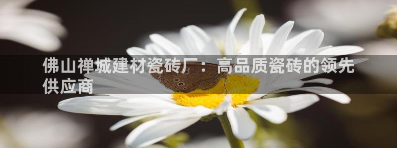 杏鑫娱乐开发团队