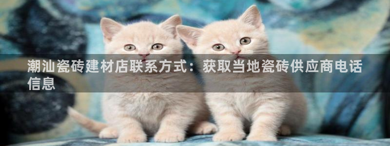 杏鑫平台代理注册多少钱啊