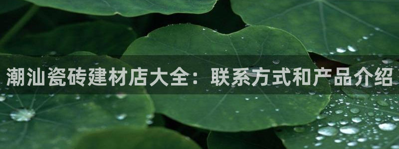 杏鑫平台平台娱乐怎么样