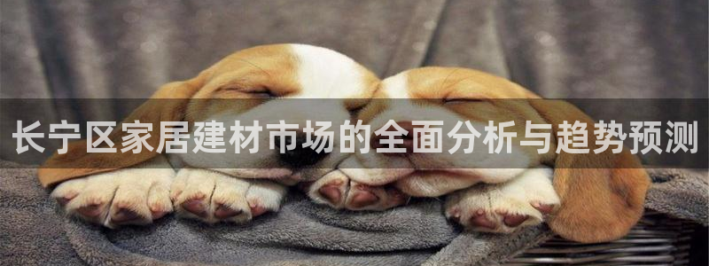 杏鑫娱乐负责人