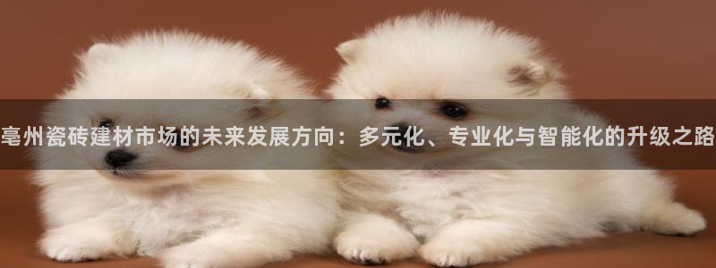 杏鑫娱乐负责人
