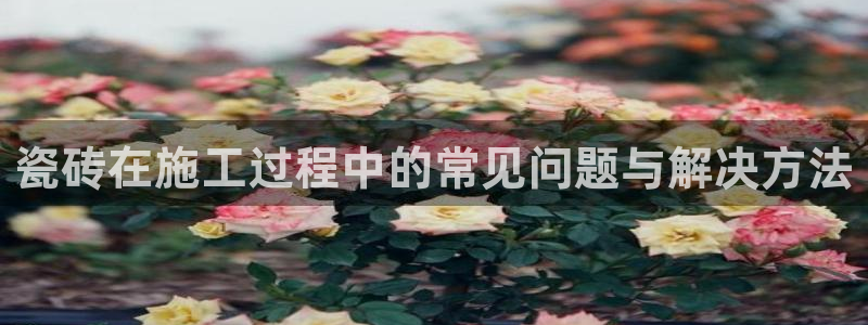 杏鑫娱乐官网