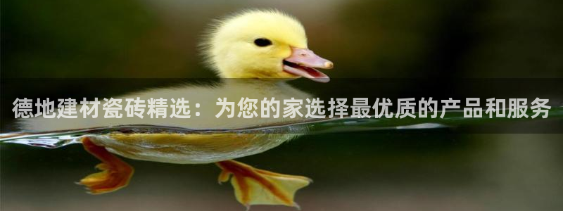 杏鑫平台招商怎么样啊