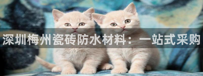 杏鑫娱乐平台登录注册网站