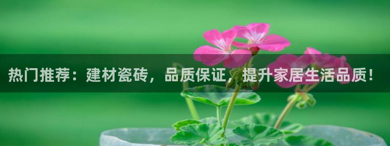 杏鑫平台正规吗是真的吗