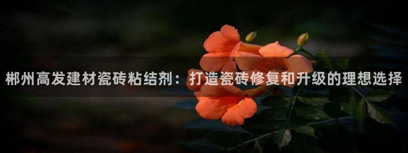 杏鑫平台登录地址是什么