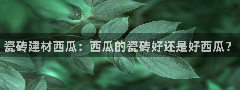 杏鑫3主管