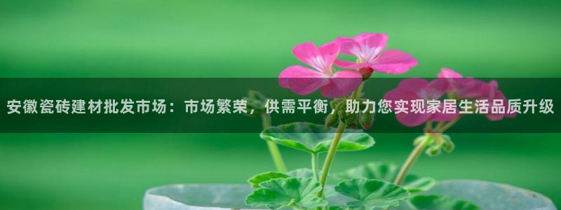 杏鑫注册登录平台是什么