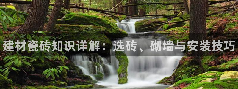 杏鑫官方平台怎么样啊可靠吗