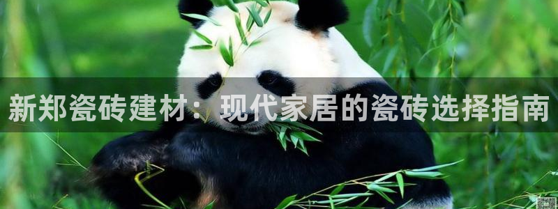 杏鑫娱乐官网下载