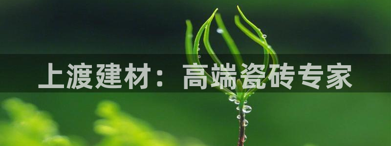 杏鑫平台下载安装