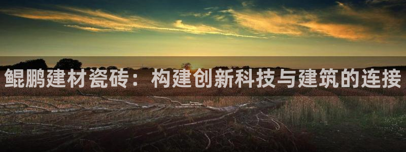 杏鑫娱乐是真的吗