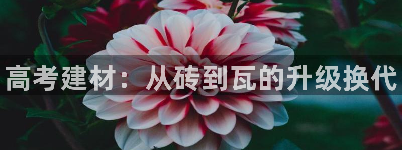 杏鑫官网注册账号密码