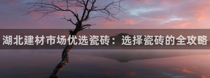 杏鑫平台广7O777