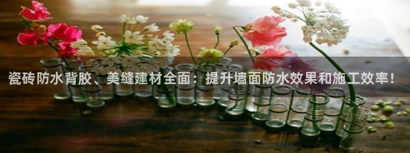 杏鑫官网注册账号密码