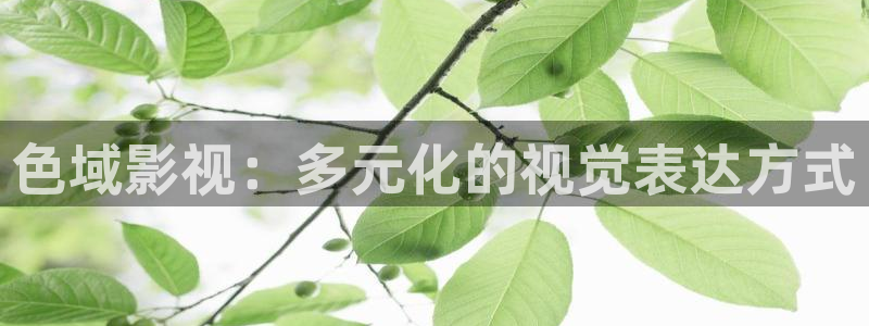 手机远古天龙影院：色域影视：多元化的视觉表达方式