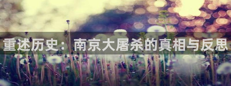 天龙影院原古版：重述历史：南京大屠杀的真相与反思