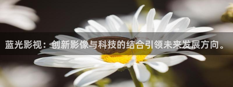 天龙影院在线播放：蓝光影视：创新影像与科技的结合引领未来发展方向。