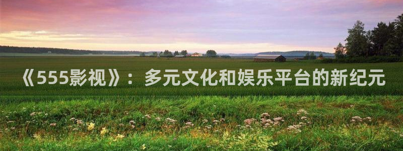 天龙影院免费最新电视剧：《555影视》：多元文化和娱乐平台的新纪元