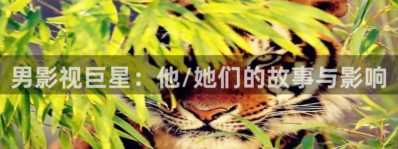 天龙影院电视剧免费观看2025：男影视巨星：他/她们的故事与影响