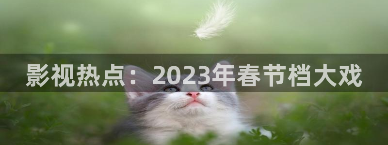 天龙高清影院在线观看影片：影视热点：2023年春节档大戏