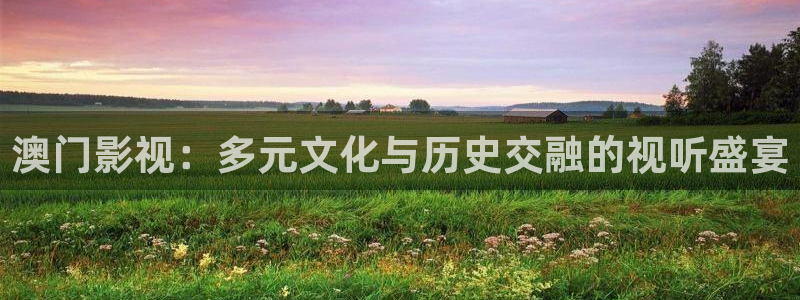 天龙影视官网：澳门影视：多元文化与历史交融的视听盛宴